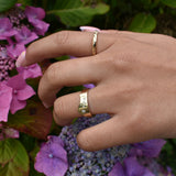 Seashore | Solid Gold with Rub Over Diamonds Trail Smooth Ring