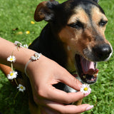 Daisy | Sterling Silver and 22ct Gold Plated Bracelet