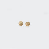 Seashore | 9ct Yellow Gold Stud Earrings Petite