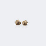 Seashore | 9ct Yellow Gold Stud Earrings Small