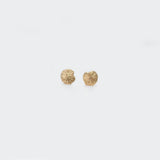 Martina Hamilton Seashore | 9ct Yellow Gold Stud Earrings Petite