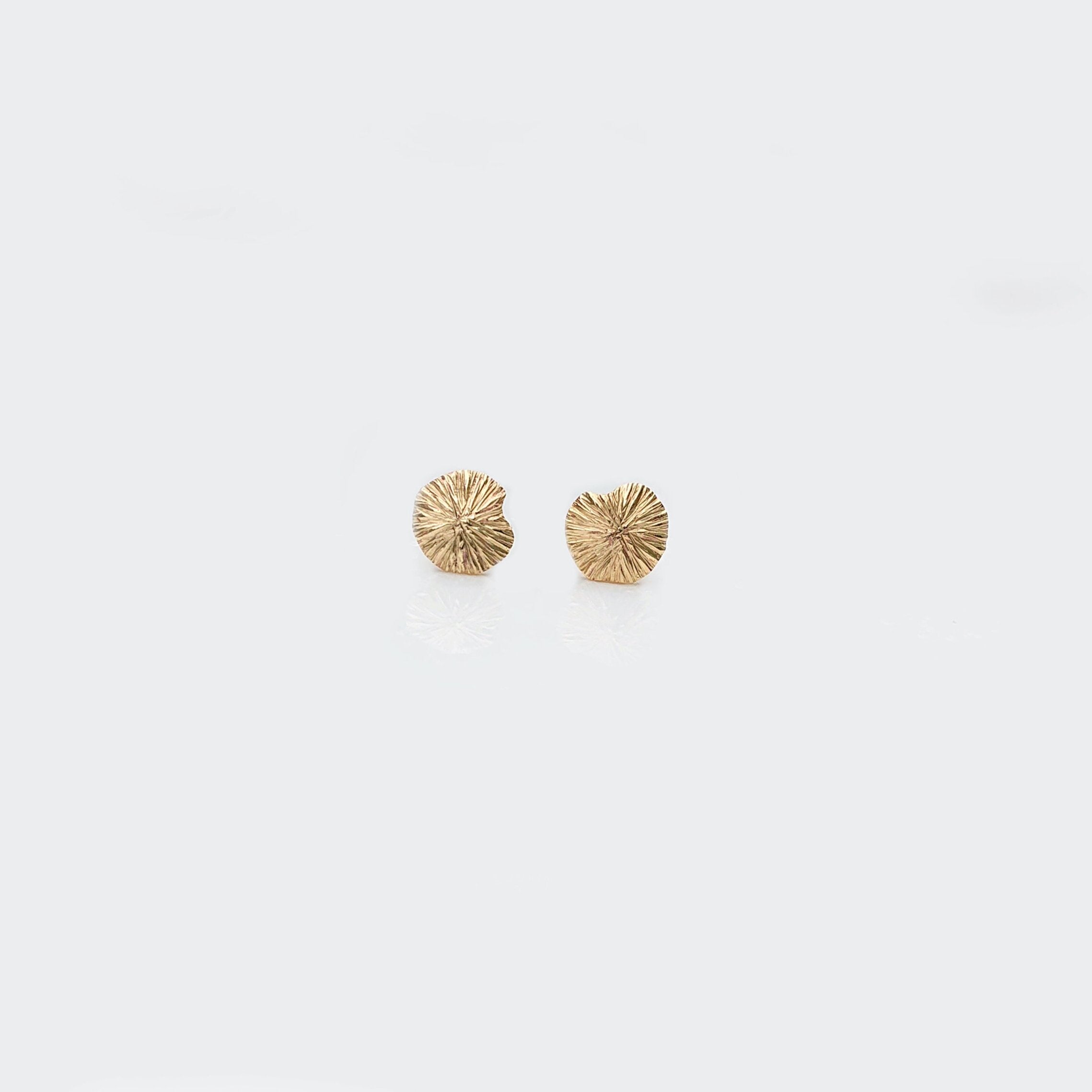 Martina Hamilton Seashore | 9ct Yellow Gold Stud Earrings Petite