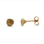 Martina Hamilton Shell Cone | 9ct Solid Gold Stud Earrings Petite