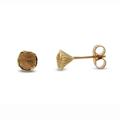 Martina Hamilton Shell Cone | 9ct Solid Gold Stud Earrings Petite