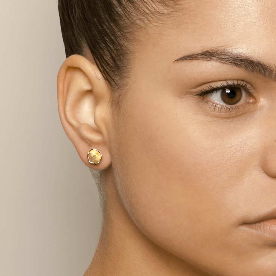 Martina Hamilton Shell Cone | 9ct Solid Gold Stud Earrings Small