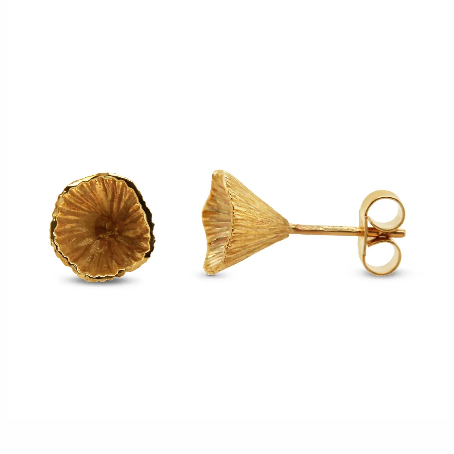 Martina Hamilton Shell Cone | 9ct Solid Gold Stud Earrings Small