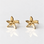 Martina Hamilton Star Flower | 9ct Solid Gold Stud Earrings Petite