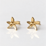 Martina Hamilton Star Flower | 9ct Solid Gold Stud Earrings Petite