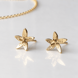 Martina Hamilton Star Flower | 9ct Solid Gold Stud Earrings Petite
