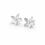 Martina Hamilton Star Flower | Sterling Silver Stud Earrings Petite